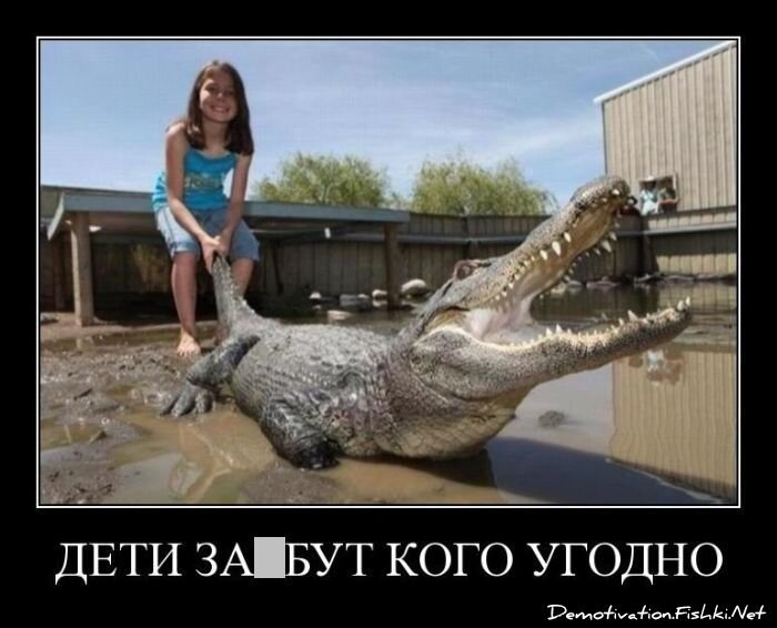 Смешной демотиватор от zubrilov за 03.02.2012 №102020