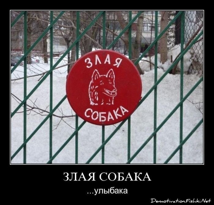 Смешной демотиватор от zubrilov за 03.02.2012 №102050