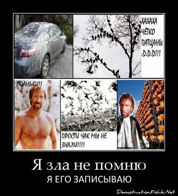 Смешной демотиватор от zubrilov за 03.02.2012 №102051