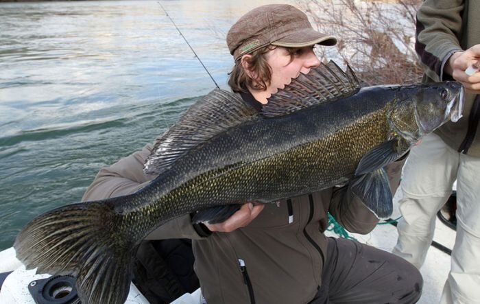 Смешной фотоприкол