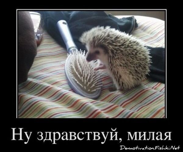 Смешной демотиватор от zubrilov за 08.02.2012 №102470