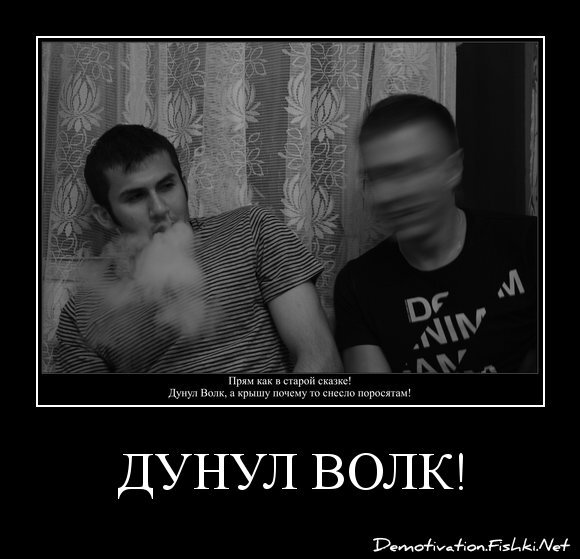 Дунул ВОлк!