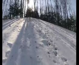 Подборка роликов