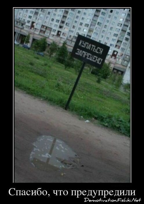 Демотиватор
