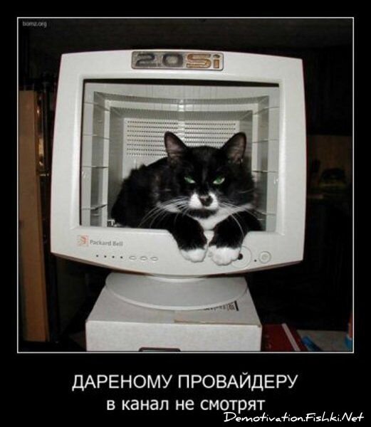 Смешной демотиватор от zubrilov за 24.02.2012 №104283