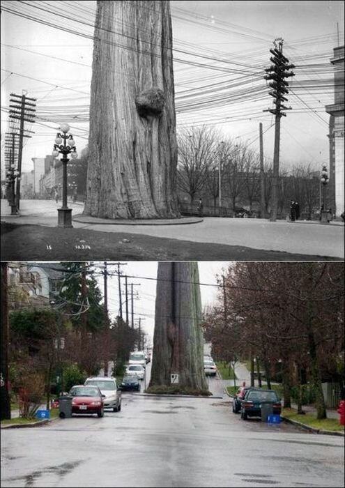 Фотоприкол недели