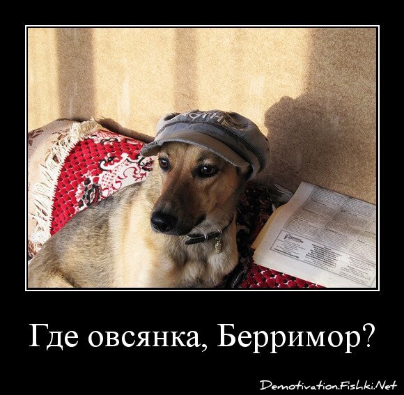 Где овсянка, Берримор?