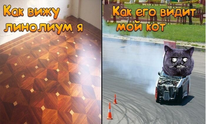 Бугагашеньки