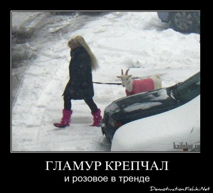 Смешной демотиватор от zubrilov за 07.03.2012 №105538