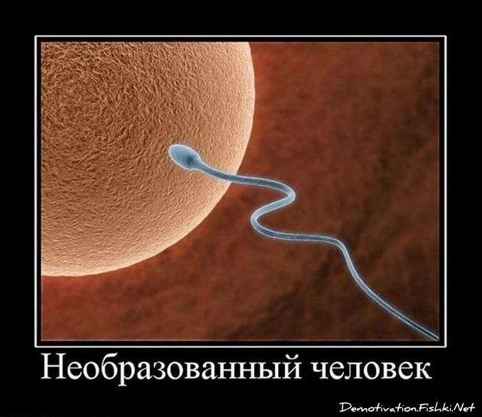 Смешной демотиватор от zubrilov за 07.03.2012 №105543