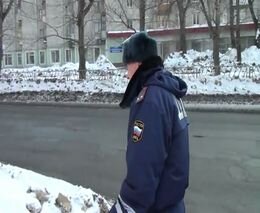 Подборка роликов