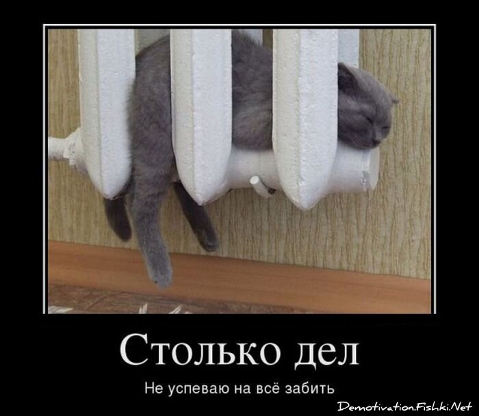 Смешной демотиватор от zubrilov за 21.03.2012 №106862
