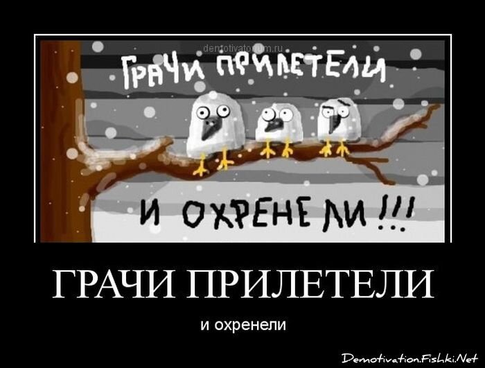Смешной демотиватор от zubrilov за 23.03.2012 №107070