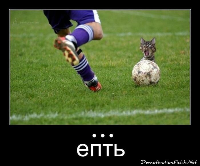 Смешной демотиватор от zubrilov за 23.03.2012 №107079