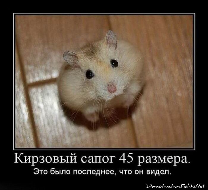 Смешной демотиватор от zubrilov за 23.03.2012 №107089