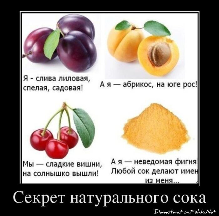 Смешной демотиватор от zubrilov за 28.03.2012 №107562