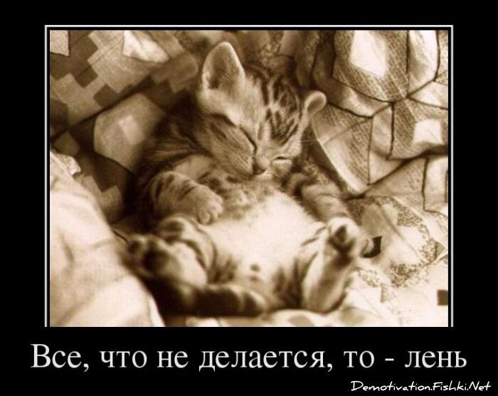 Смешной демотиватор от zubrilov за 28.03.2012 №107598