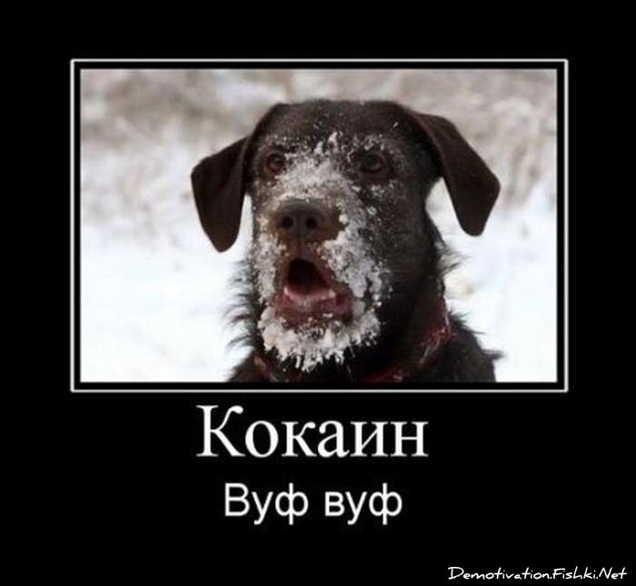 Смешной демотиватор от zubrilov за 30.03.2012 №107953
