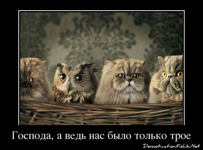 Смешной демотиватор от zubrilov за 30.03.2012 №107954
