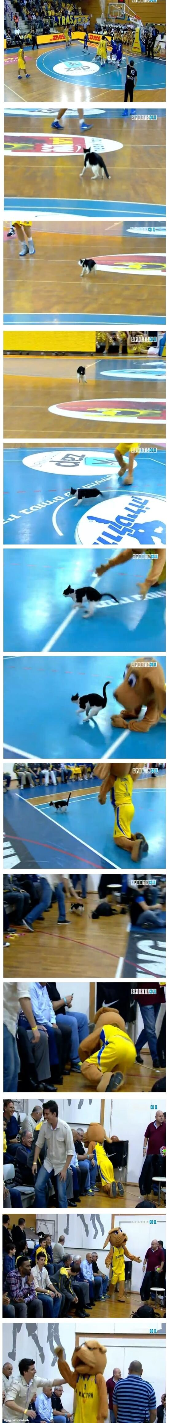 Прекрасные фото