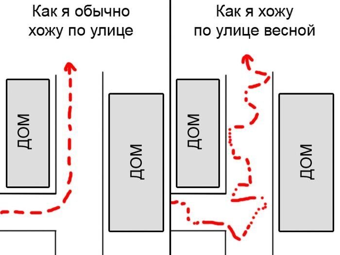 Новый фотоприкол