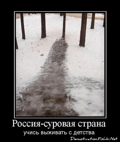 Смешной демотиватор от zubrilov за 04.04.2012 №108435