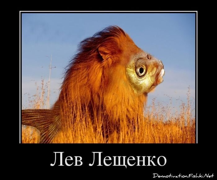 Смешной демотиватор от zubrilov за 04.04.2012 №108465