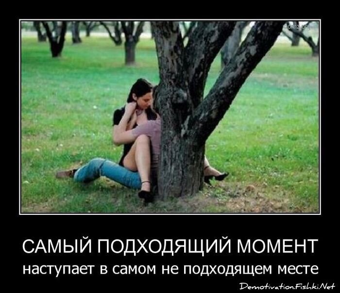 Смешной демотиватор от zubrilov за 06.04.2012 №108764