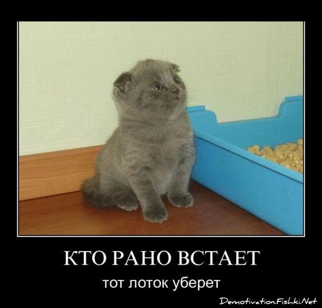 Смешной демотиватор от zubrilov за 06.04.2012 №108794
