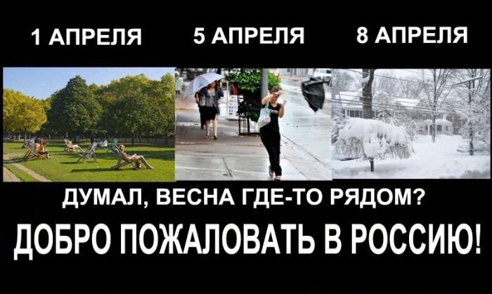 Бесплатный фотоприкол