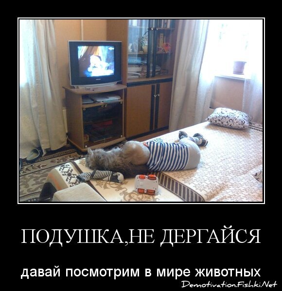 Подушка,не дергайся