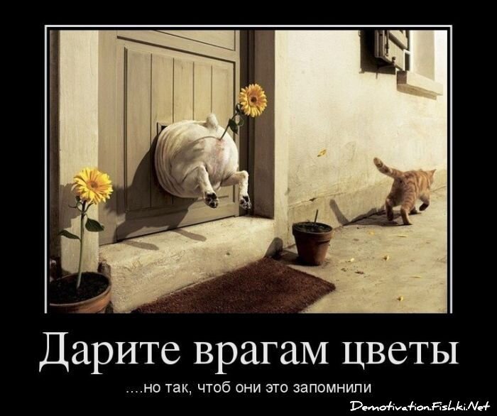 Смешной демотиватор от zubrilov за 20.04.2012 №110240