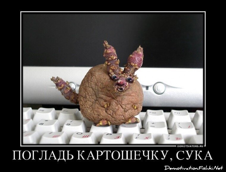 Смешной демотиватор от zubrilov за 20.04.2012 №110251
