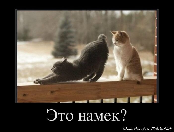 Демотиватор