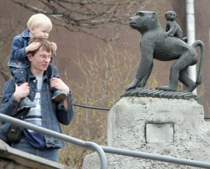 Фотоподборка