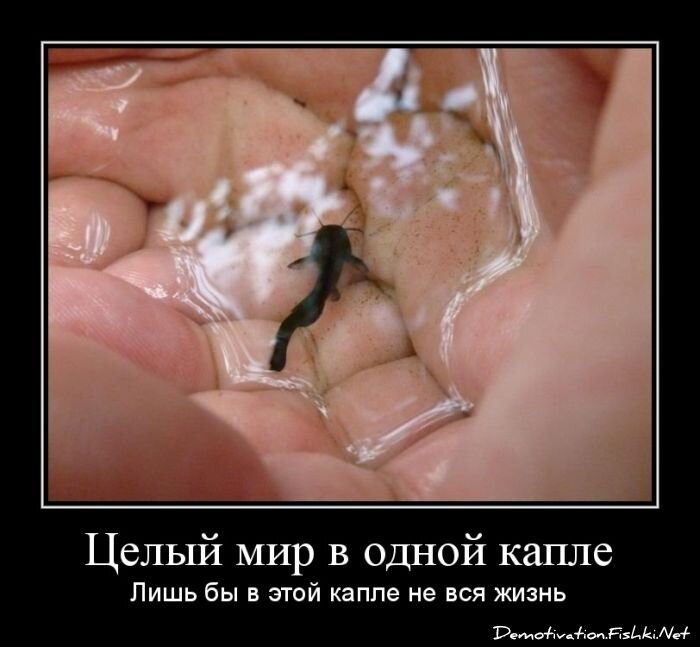 Смешной демотиватор от zubrilov за 02.05.2012 №111109