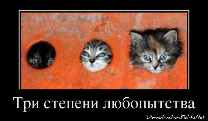 Смешной демотиватор от zubrilov за 02.05.2012 №111117