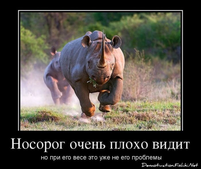 Смешной демотиватор от zubrilov за 02.05.2012 №111129