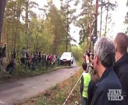 Подборка роликов