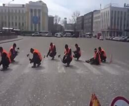Подборка роликов