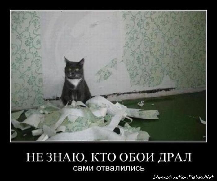 Смешной демотиватор от zubrilov за 11.05.2012 №111952