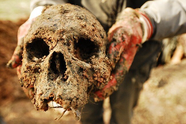 Эхо войны (49 фото)