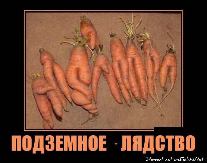 Демотиватор