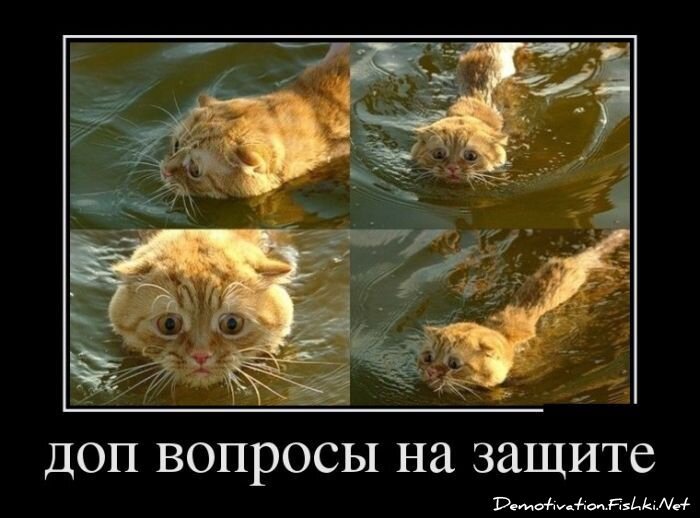 Демотиватор