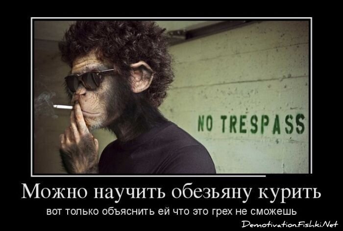 Смешной демотиватор от zubrilov за 21.05.2012 №112970