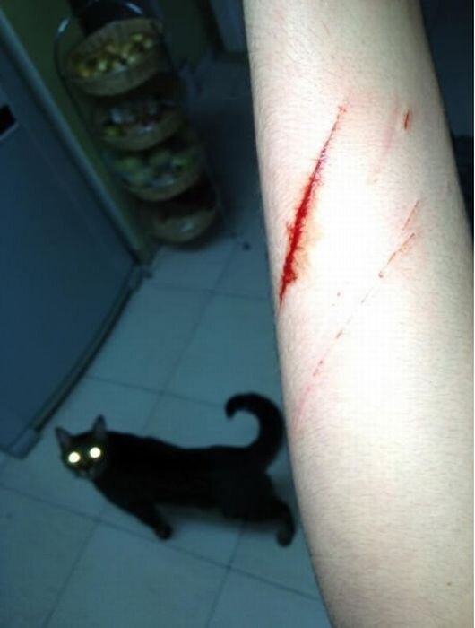 Фотоприкол фото