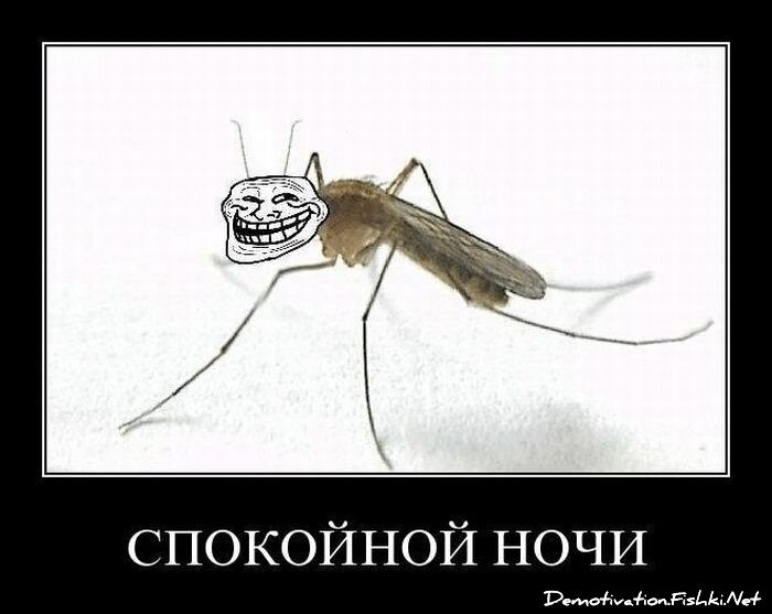 Смешной демотиватор от zubrilov за 25.05.2012 №113561