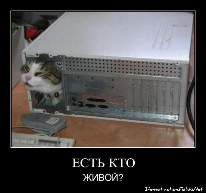 Смешной демотиватор от zubrilov за 25.05.2012 №113766