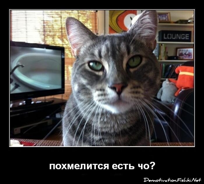 Смешной демотиватор от zubrilov за 25.05.2012 №113768