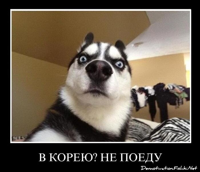 Демотиватор